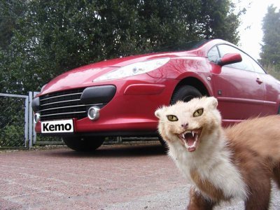elektronický odpuzovač kun a hlodavců M100N (KEMO - Německo)