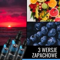 K2 BELA PRO 5 L BLUEBERRY - aktivna pena