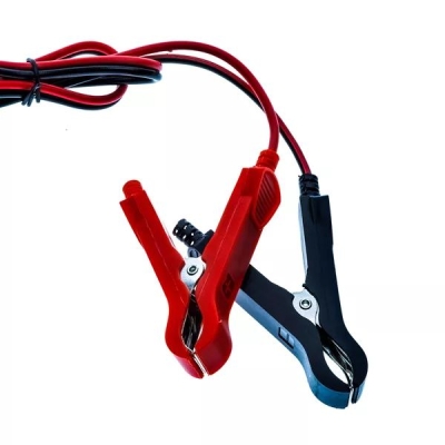 Nabíjačka batérií 12V/24V EINPARTS EPCBC02