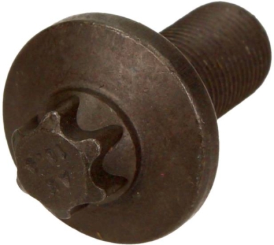 BMW OEM - Skrutka rozvodového kolesa 13527800395