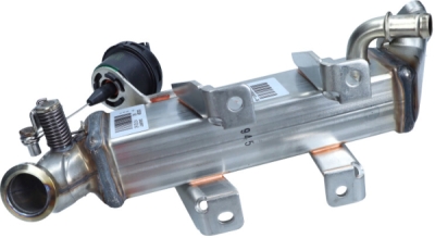 RENAULT OEM - Chladič EGR ventilu RENAULT SCENIC III, MEGANE III, KOLEOS 2.0 06- 147356011R