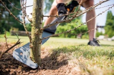 Fiskars mačeta WoodXpert XA23
