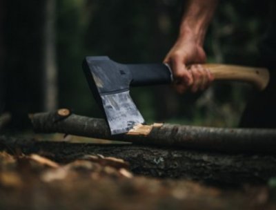 Fiskars univerzální sekera Norden N10
