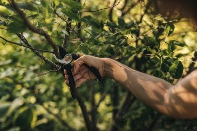 Fiskars dvoučepelové zahradní nůžky Solid P321