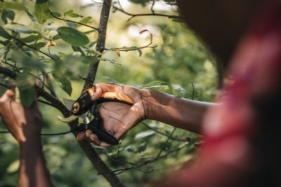 Fiskars dvoučepelové zahradní nůžky Plus P721