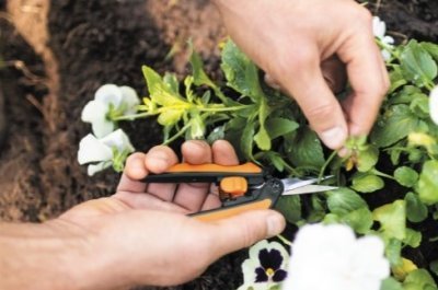 Fiskars prostříhavací špičaté zahradní nůžky Solid SP130