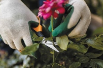 Fiskars nůžky na květiny SP15