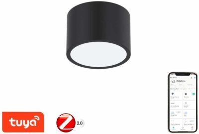 Immax NEO RONDATE Smart - stropní svítidlo 15cm 12W černé Zigbee 3.0