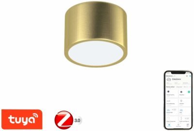 Immax NEO RONDATE Smart - stropní svítidlo 15cm 12W zlaté, Zigbee 3.0