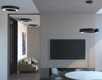 Immax NEO CÉČKO Smart - stropní svítidlo 60cm 43W černé Zigbee 3.0
