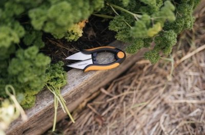 Fiskars nůžky na bylinky Solid SP220