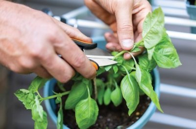 Fiskars nůžky na bylinky Solid SP220