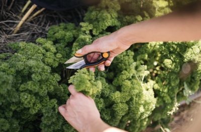 Fiskars nůžky na bylinky Solid SP220