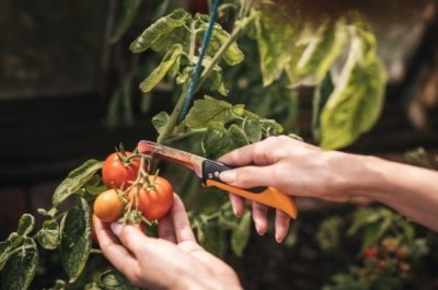 Fiskars skládací nůž X-series K80