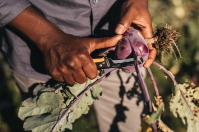 Fiskars skládací nůž X-series K80