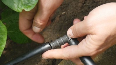 Zavlažovací sada s hadicí 50m WATER DRIP BRADAS DSWWM50-SET1