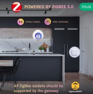 Nous A1 Zigbee Smart Socket - zásuvka s měřením spotřeby, Zigbee, 10A