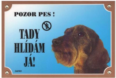 Cedulka Dafiko JEZEVČÍK hrubosrstý
