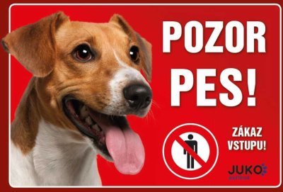 Cedulka plast JACK RUSSEL TERIÉR