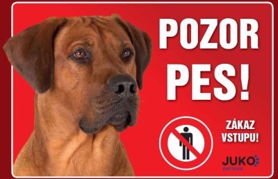 Cedulka plast RHODÉSKÝ RIDGEBACK