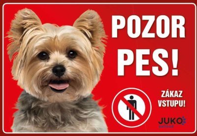 Cedulka plast JORKŠÍRSKÝ TERIÉR
