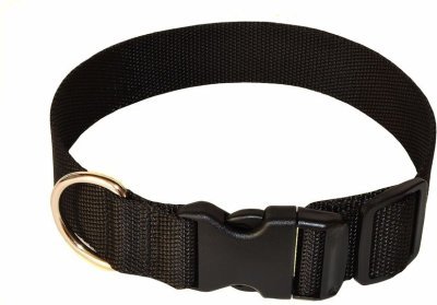 Obojek popruh 4 x 35 - 55 cm