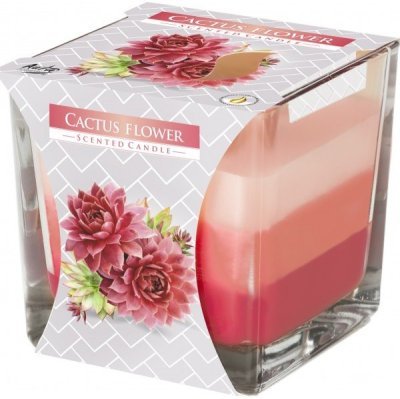 Svíce tříbarevná vonná ve skle Cactus flower