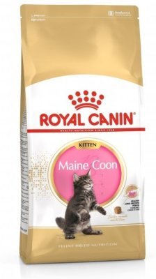 Royal Canin Kitten Maine Coon 10 kg