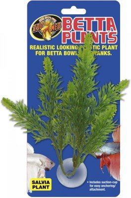Betta Plant – Šalvěj