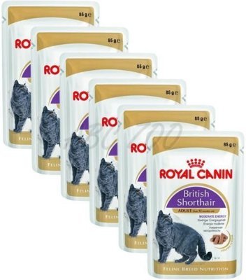 Royal Canin British Shorthair gravy ve šťávě 12x85g