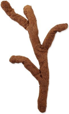 Dekorace Repti Planet Coco Troncho 80cm