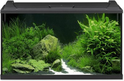 Akvarijní set Eheim Aquapro LED černý 80x35x45cm 126l