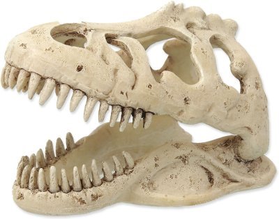 Dekorace Repti Planet T-REX lebka 13,3x8,5x9cm