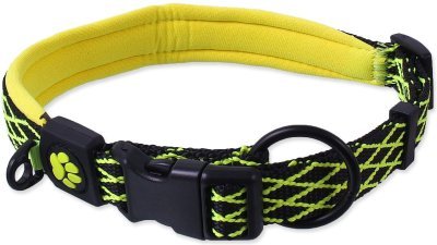Obojek Active Dog Mystic M limetka 2x44-55cm