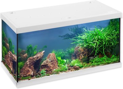 Akvarijní set Eheim Aquastar LED bílý 60x33x33 54l