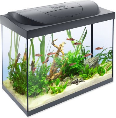 Akvarijní set Tetra Starter Line LED 61x32x51cm 80l