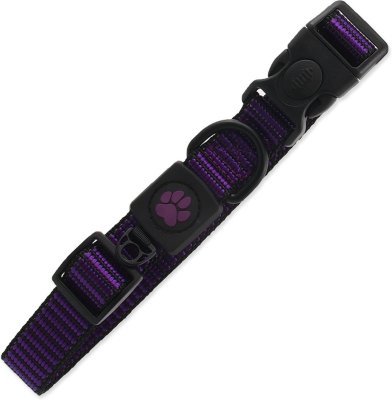 Obojek Active Dog Strong L fialový 2,5x45-68cm