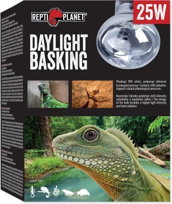 Žárovka Repti Planet Daylight Basking Spot 25W