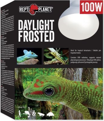 Žárovka Repti Planet Daylight Frosted 100W