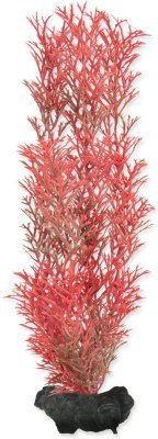 Dekorace Tetra Rostlina Foxtail Red M 23cm