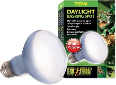 Žárovka Exo Terra Daylight Basking Spot 75W