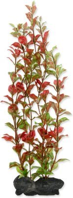 Dekorace Tetra Rostlina Red Ludwigia L 30cm