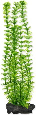 Dekorace Tetra Rostlina Ambulia L 30cm
