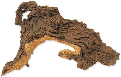 Dekorace Hobby Dohse kořen Tropical wood S