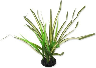 Dekorace Repti Planet Rostlina travina Spartina 30cm
