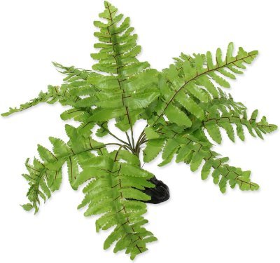 Dekorace Repti Planet Rostlina kapradí Nephrolepis 20cm