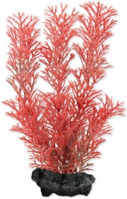 Dekorace Tetra Rostlina Foxtail Red S 15cm