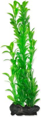 Dekorace Tetra Rostlina Hygrophila L 30cm