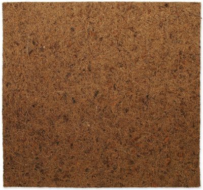 Pozadí Repti Planet Coco Pad 50x50cm