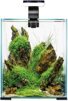 Akvarijní set Aquael SHRIMP SMART Day & Night černý 25x25x30cm 19l